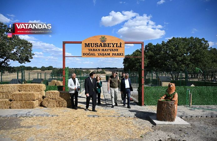 YABAN HAYVANI DOĞAL YAŞAM PARKI’NDA ÇALIŞMALAR SÜRÜYOR
