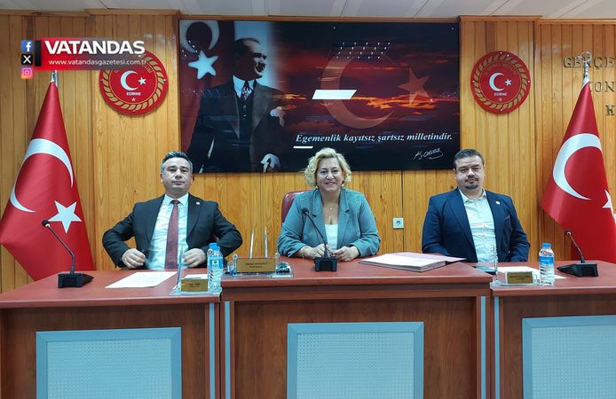İL GENEL MECLİSİ’NDE DOĞALGAZ GÜNDEMİ