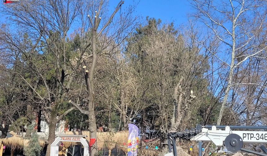 AĞAÇ BUDAMA SEFERBERLİĞİ