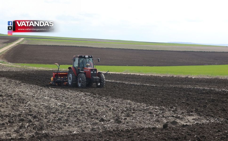 AYÇİÇEĞİ İÇİN 2. YIL EKİMİ YAPILDI