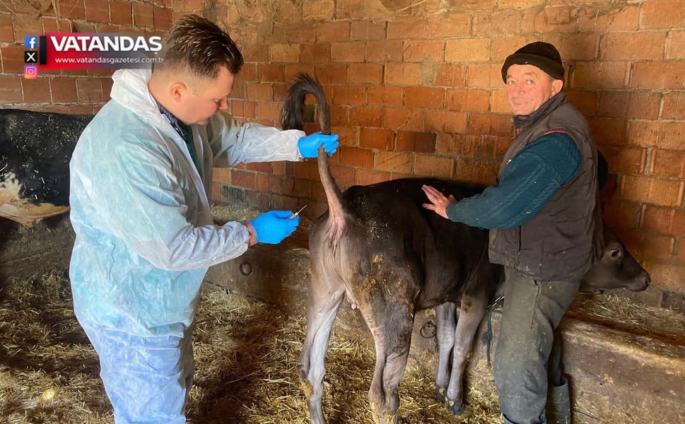 ŞAP HASTALIĞIYLA MÜCADELE BAŞLADI