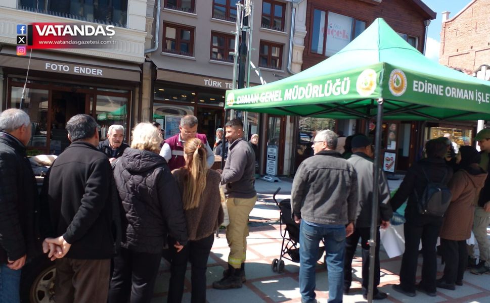 IHLAMUR FİDANI DAĞITILDI