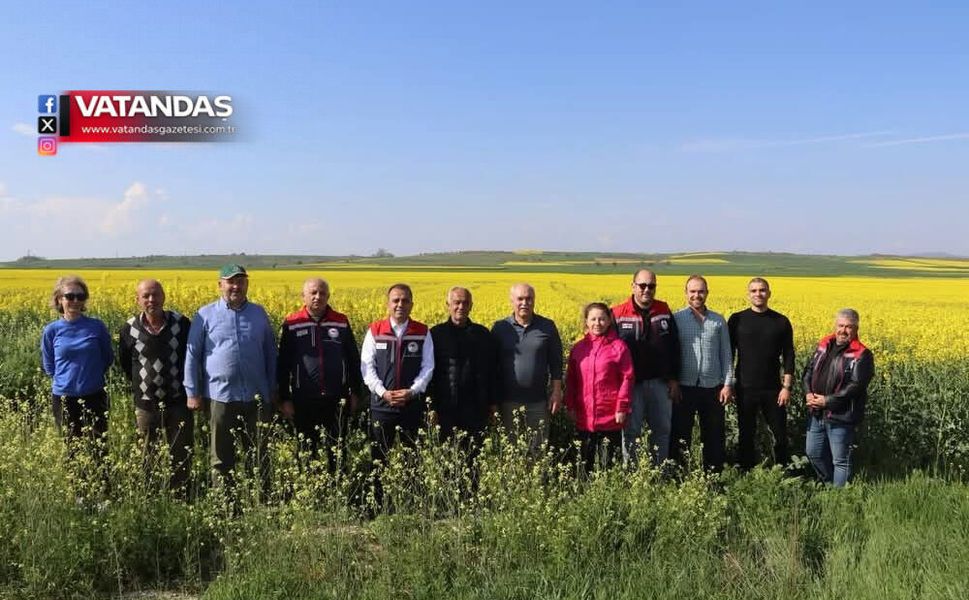 KANOLA İLAÇ GİBİ GELDİ