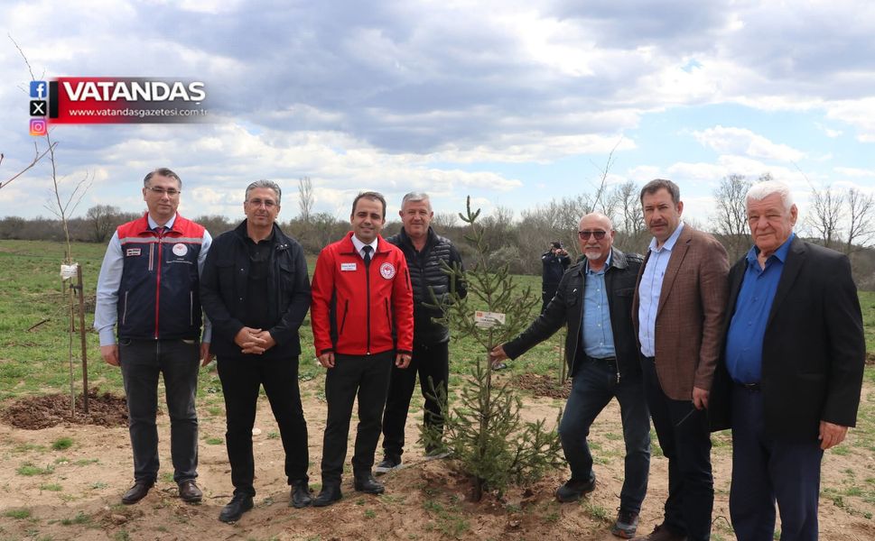 ANLAMLI FİDAN DİKİMİ