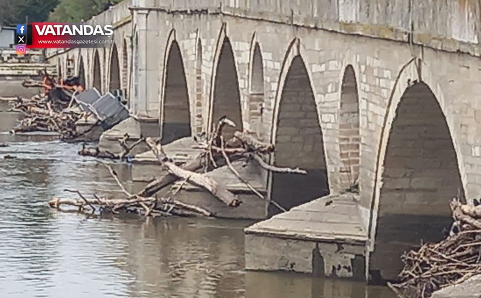 TARİHİ KÖPRÜDE AĞAÇ BİRİKİNTİSİ