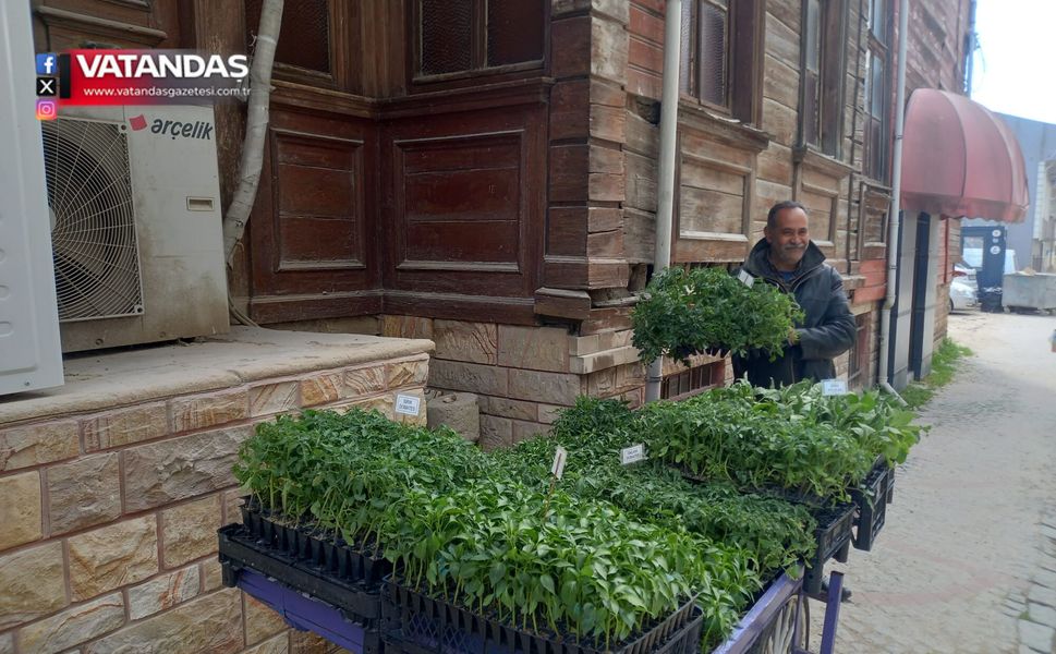 FİDE SATIŞLARI ARTTI