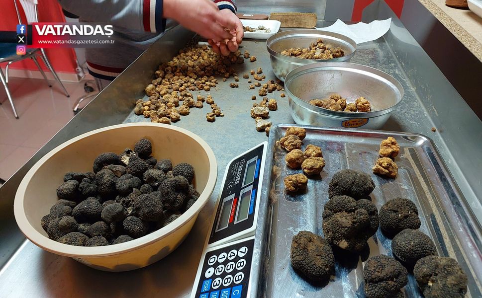 EDİRNE'DEN AB ÜLKELERİNE TRÜF İHRACATI