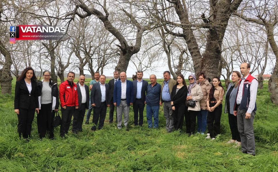 İPEK BÖCEKÇİLİĞİ YENİ GELİR KAPISI OLUYOR