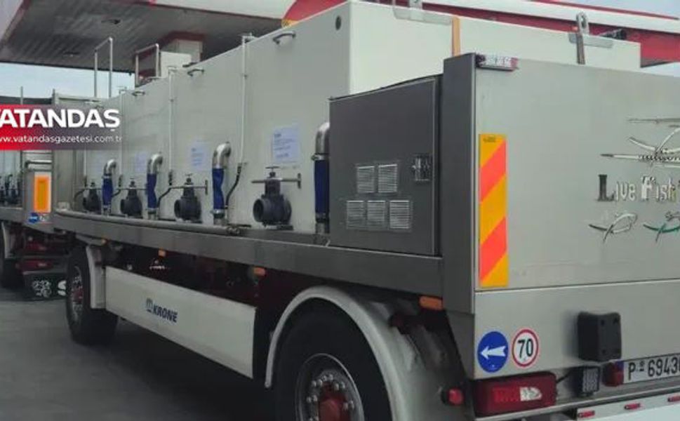 ARNAVUTLUK'A LEVREK YAVRUSU İHRACATI