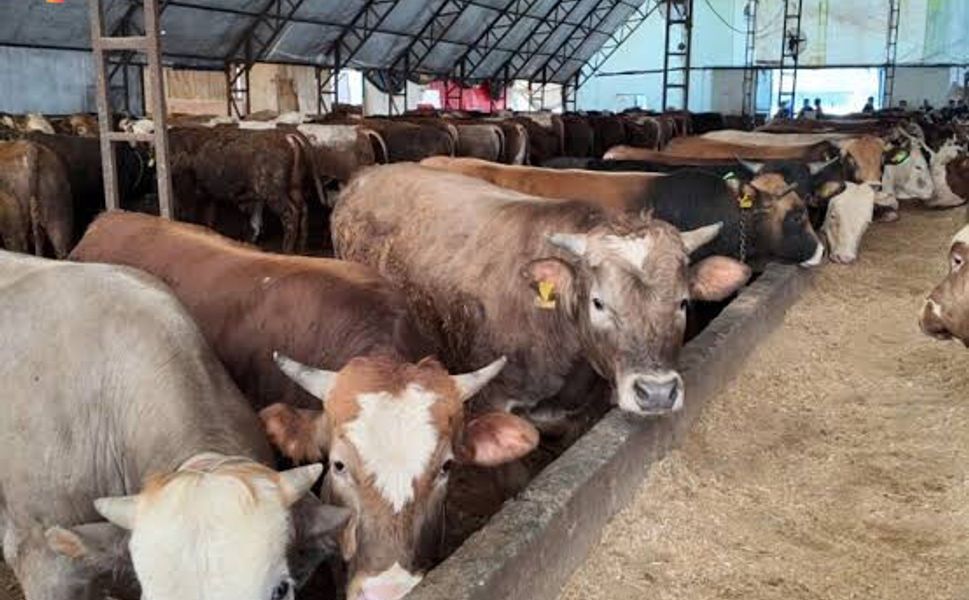 “NE SATAN, NE DE ALAN MUTLU"