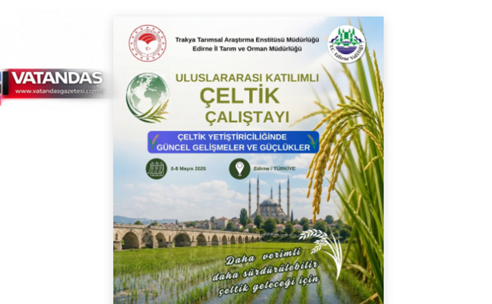 ULUSLARARASI ÇELTİK ÇALIŞTAYI DÜZENLENİYOR