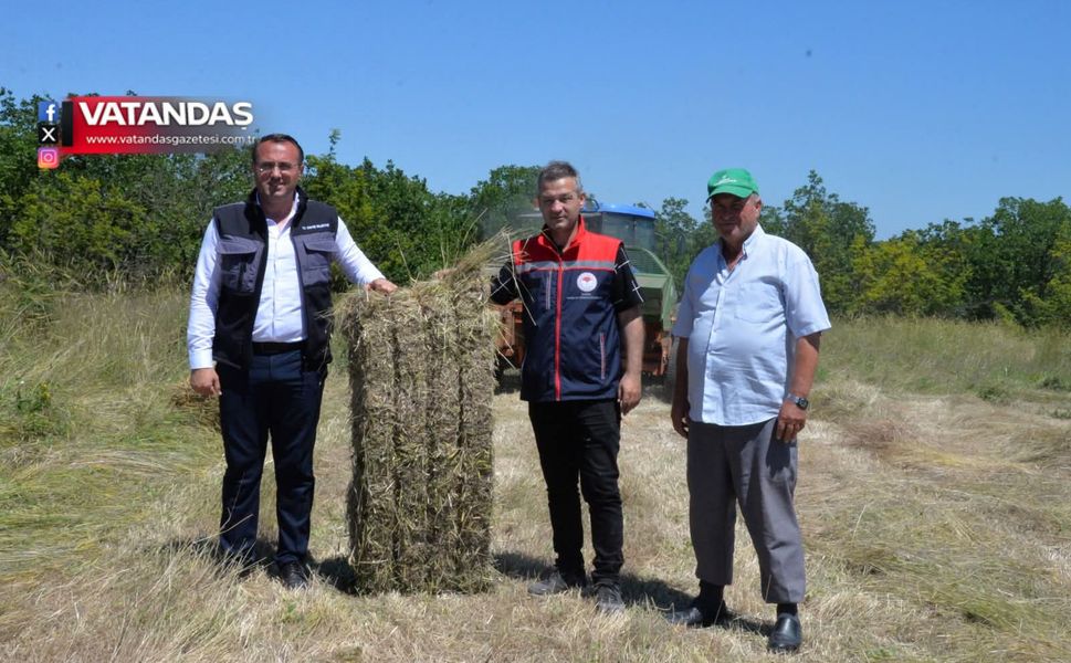 HAYVANCILIĞA KABA YEM DESTEĞİ