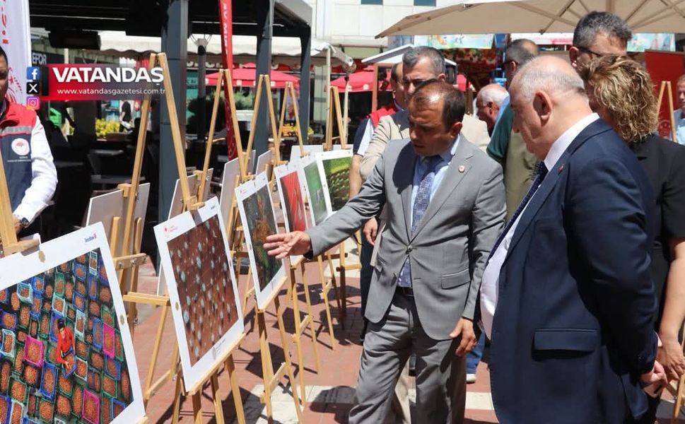 ORMANIN VE EMEĞİN HİKÂYESİ FOTOĞRAF KARELERİNE YANSIDI