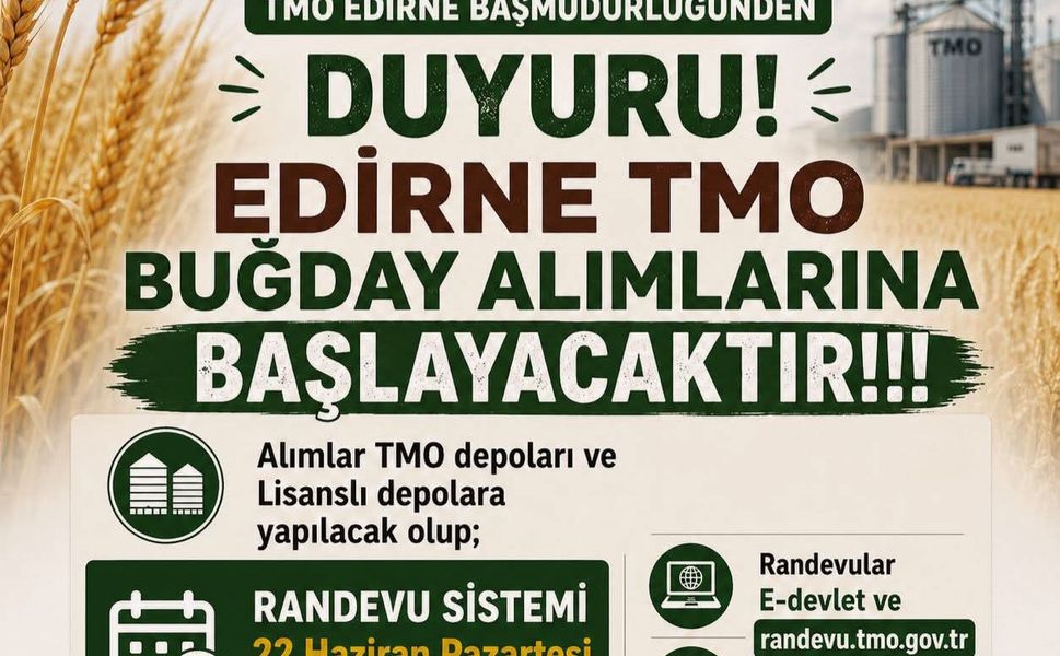 TMO BUĞDAY ALIMLARINA BAŞLIYOR