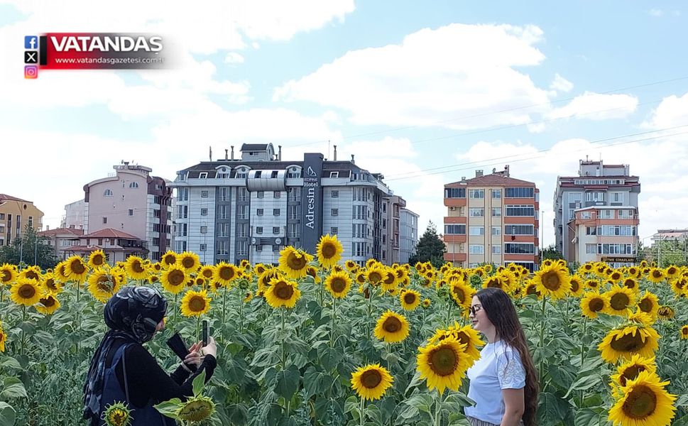 EDİRNE’NİN SARI DENİZİNDE VEDA HATIRASI