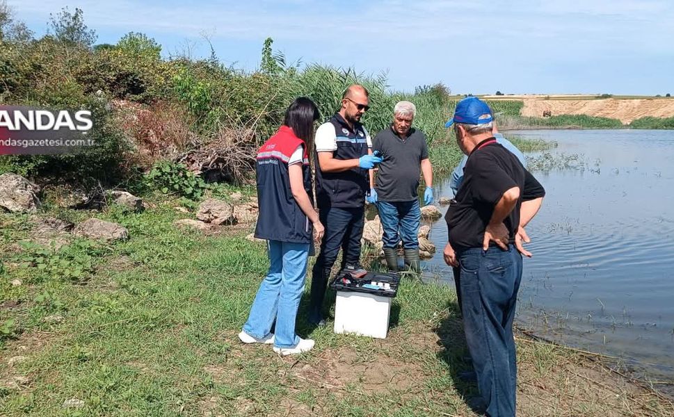 BALIK ÖLÜMLERİNE YAKIN TAKİP
