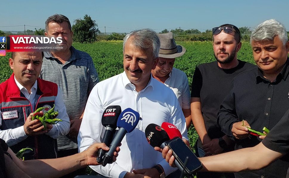 KARAAĞAÇ BİBERİ'NDE HASAT GÜNÜ