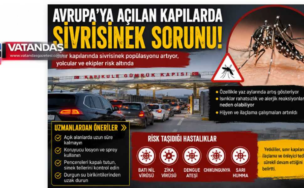 AB SINIRINDA SİVRİSİNEK ALARMI
