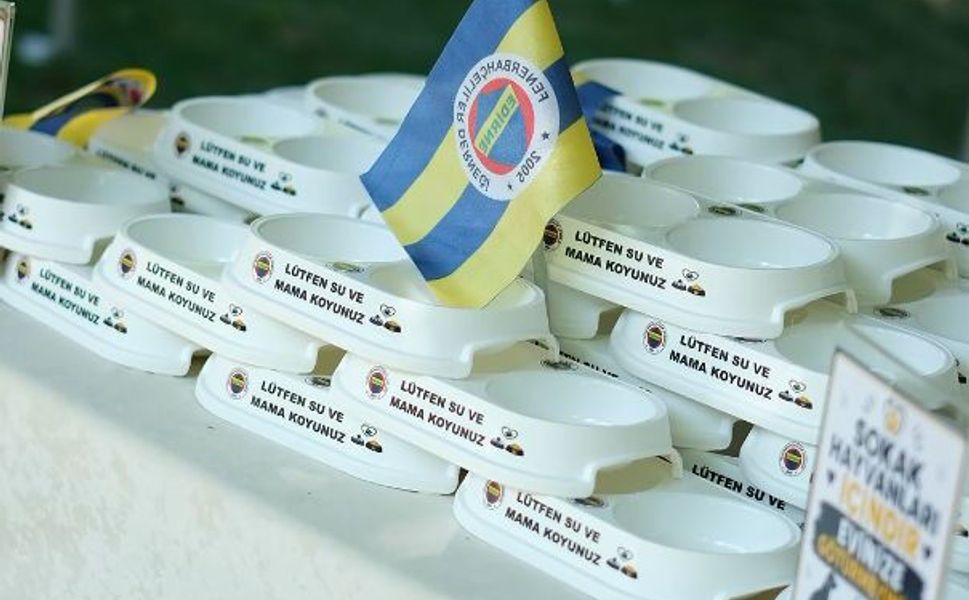 EDİRNE FENERBAHÇELİLER DERNEĞİ’NDEN PATİLİ DOSTLARA MAMA VE SU DESTEĞİ