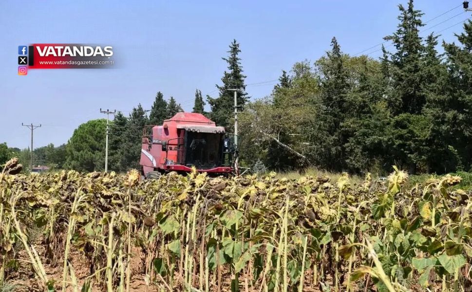 2 YILLIK KURAKLIĞIN ARDINDAN YÜZLER GÜLDÜ