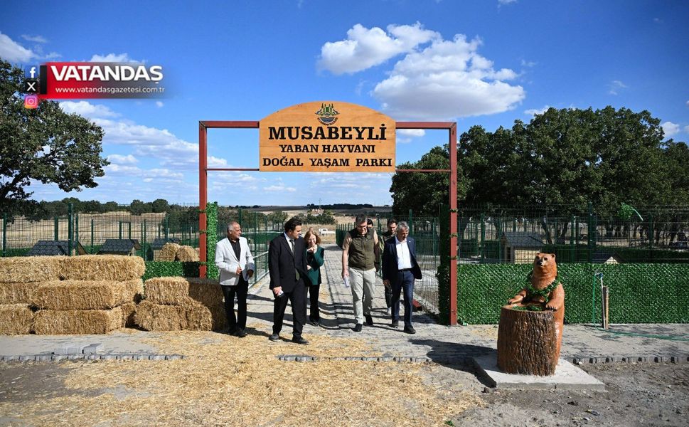 YABAN HAYVANI DOĞAL YAŞAM PARKI’NDA ÇALIŞMALAR SÜRÜYOR