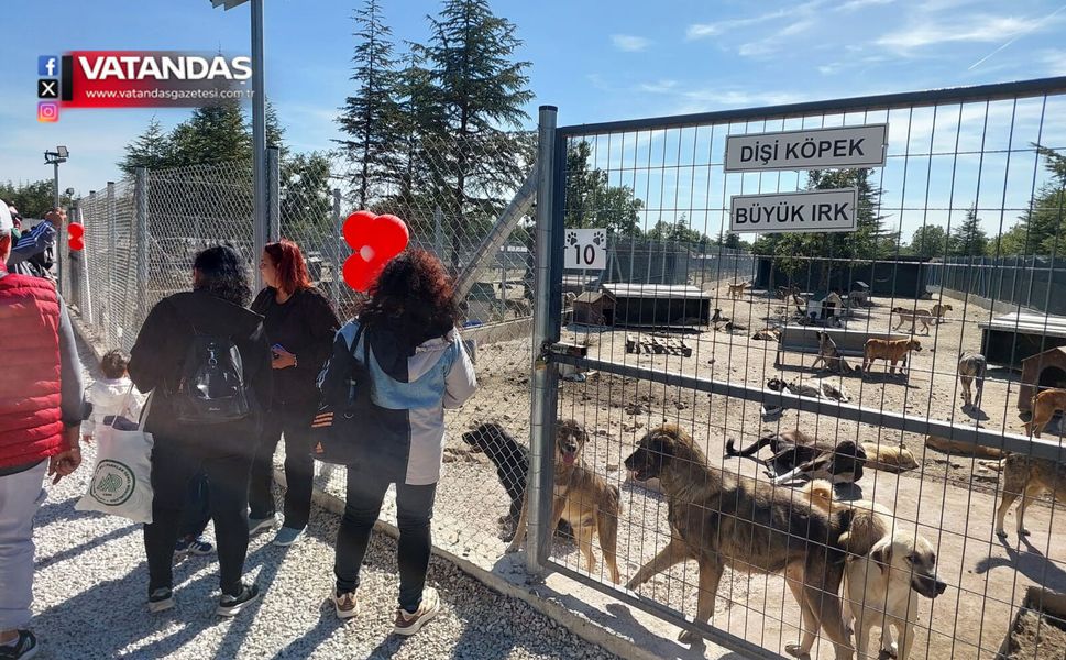 SAHİPSİZ HAYVAN DOĞAL YAŞAM ALANI AÇILDI