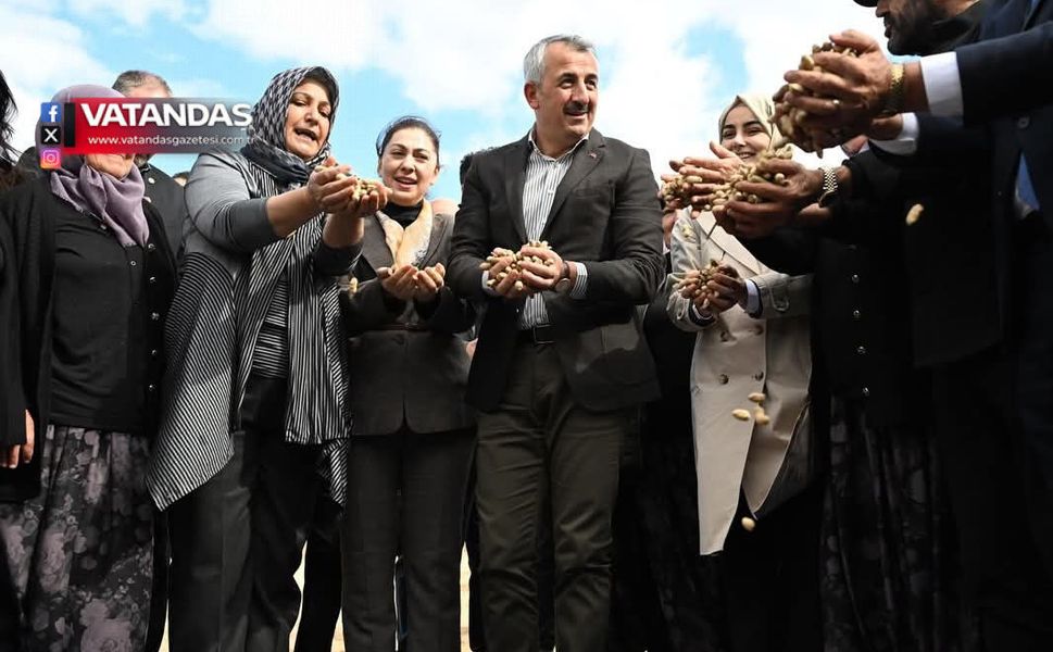 MERİÇ’TE YER FISTIĞI HASADI ŞENLİĞİ