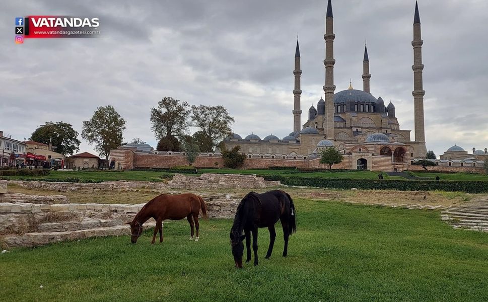 ATLAR SELİMİYE MEYDANI’NDA
