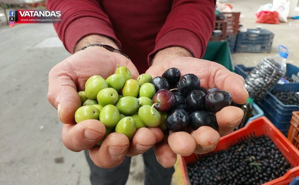 PAZARDA ÜRETİCİDEN VATANDAŞA ZEYTİN