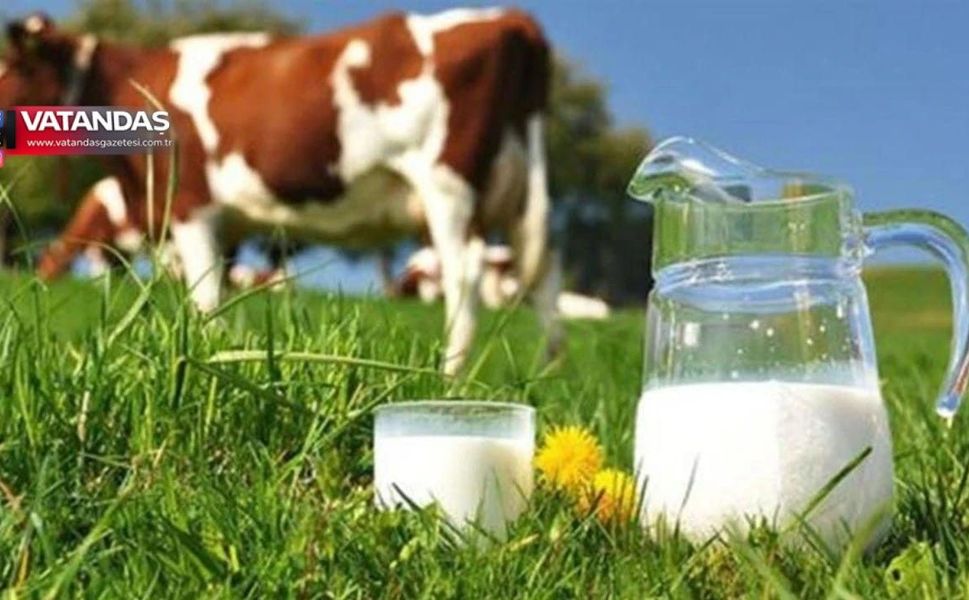 6 aydır fiyat aynı yem zamları sürüyor