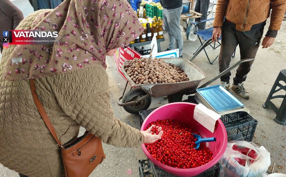 VATANDAŞIN KIŞ KALKANI KUŞBURNU OLDU