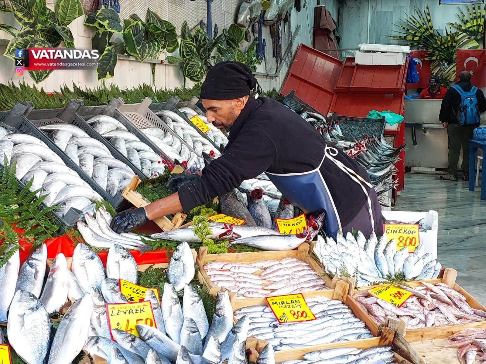PALAMUT BOLLUĞU VAR, DİĞER BALIKLAR ATEŞ PAHASI
